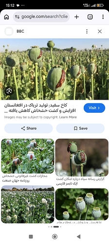 Screenshot_2026-05-26-15-12-00-895_com.android.chrome