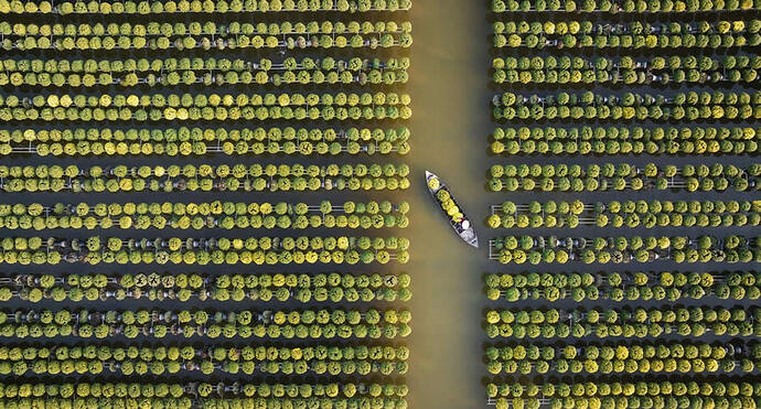 people-from-a-drone-35-photography-awards-35