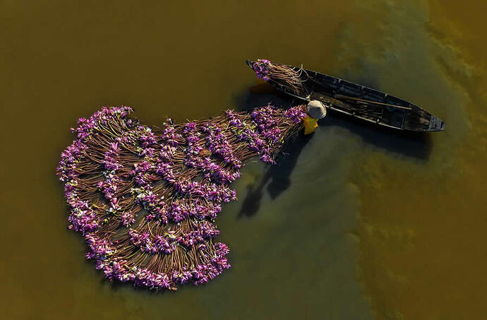people-from-a-drone-35-photography-awards-15