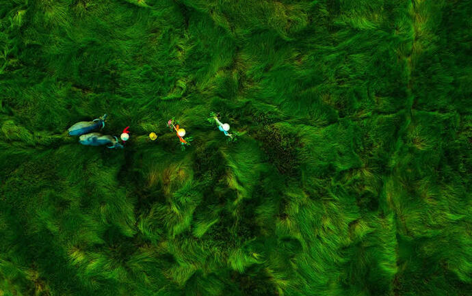 people-from-a-drone-35-photography-awards-25