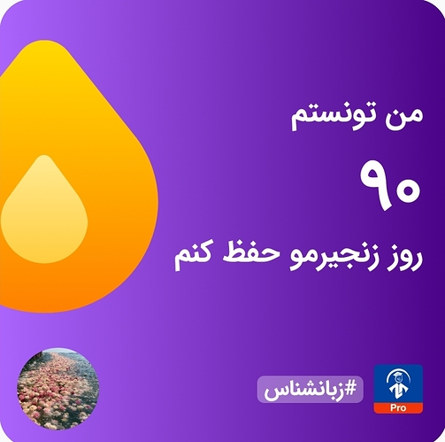 Screenshot_۲۰۲۶۰۸۰۵_۲۰۰۲۰۰_Zabanshenas Pro